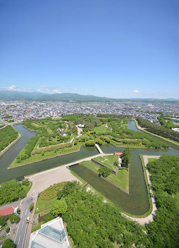 展望台からの五稜郭の眺望