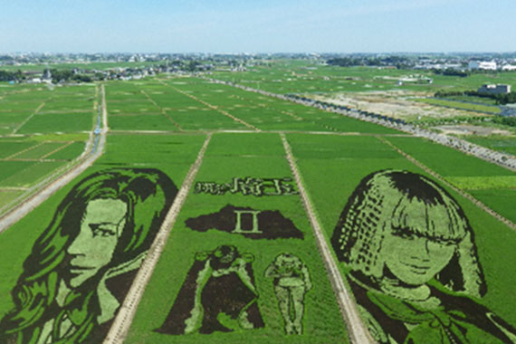 展望室から眺める世界最大の田んぼアート