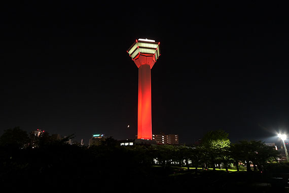 Goryokaku Tower