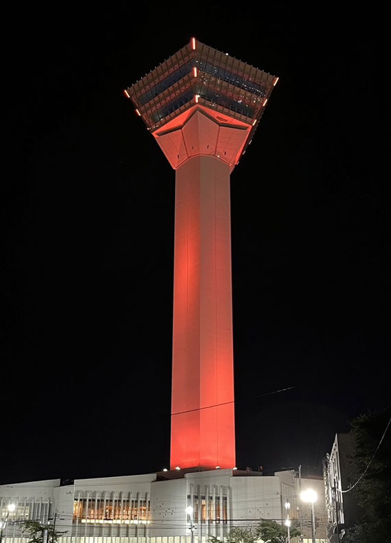 Goryokaku Tower